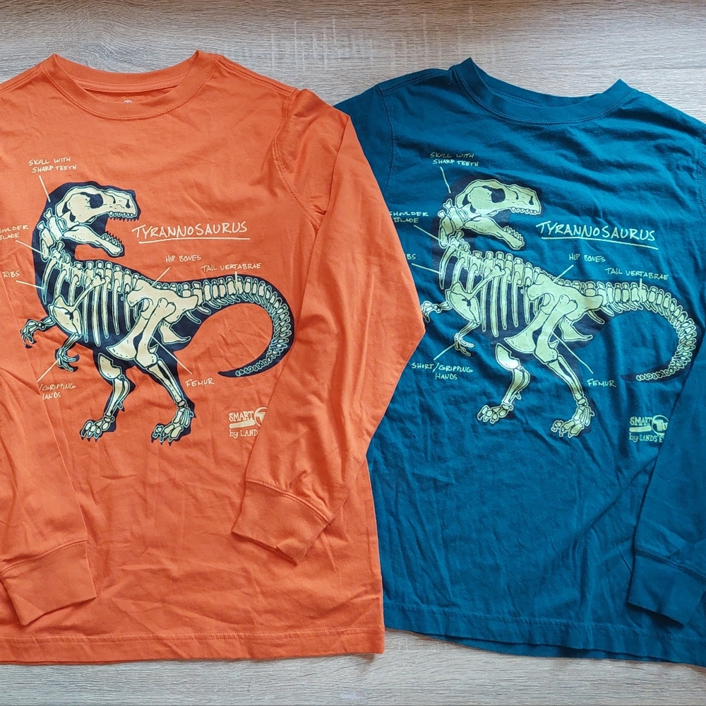 Land's End euc/ln Size 14-16 tees - Picture 11 of 15